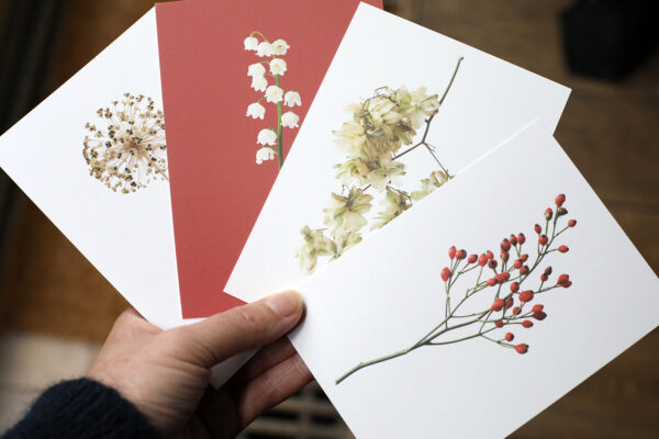 4 A6 ansichtkaarten serie "Groene gelukwens"