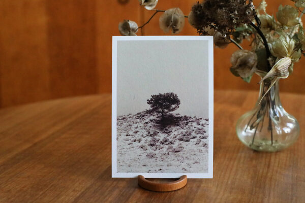 winterlandschapje Grove den in Lies A6 artkaart